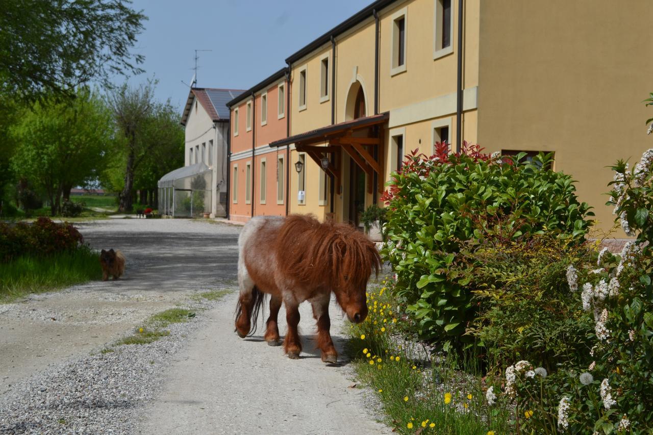 Agriturismo Otto Ducati D'Oro إيزولا ديلا سكالا المظهر الخارجي الصورة